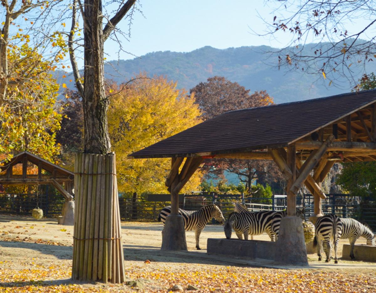 Seoul