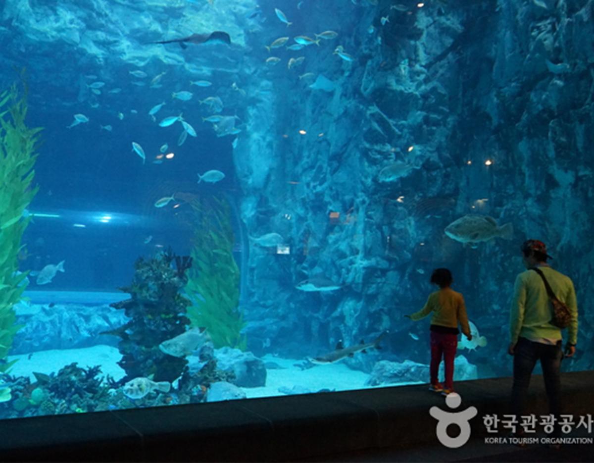LOTTE World + Aquarium