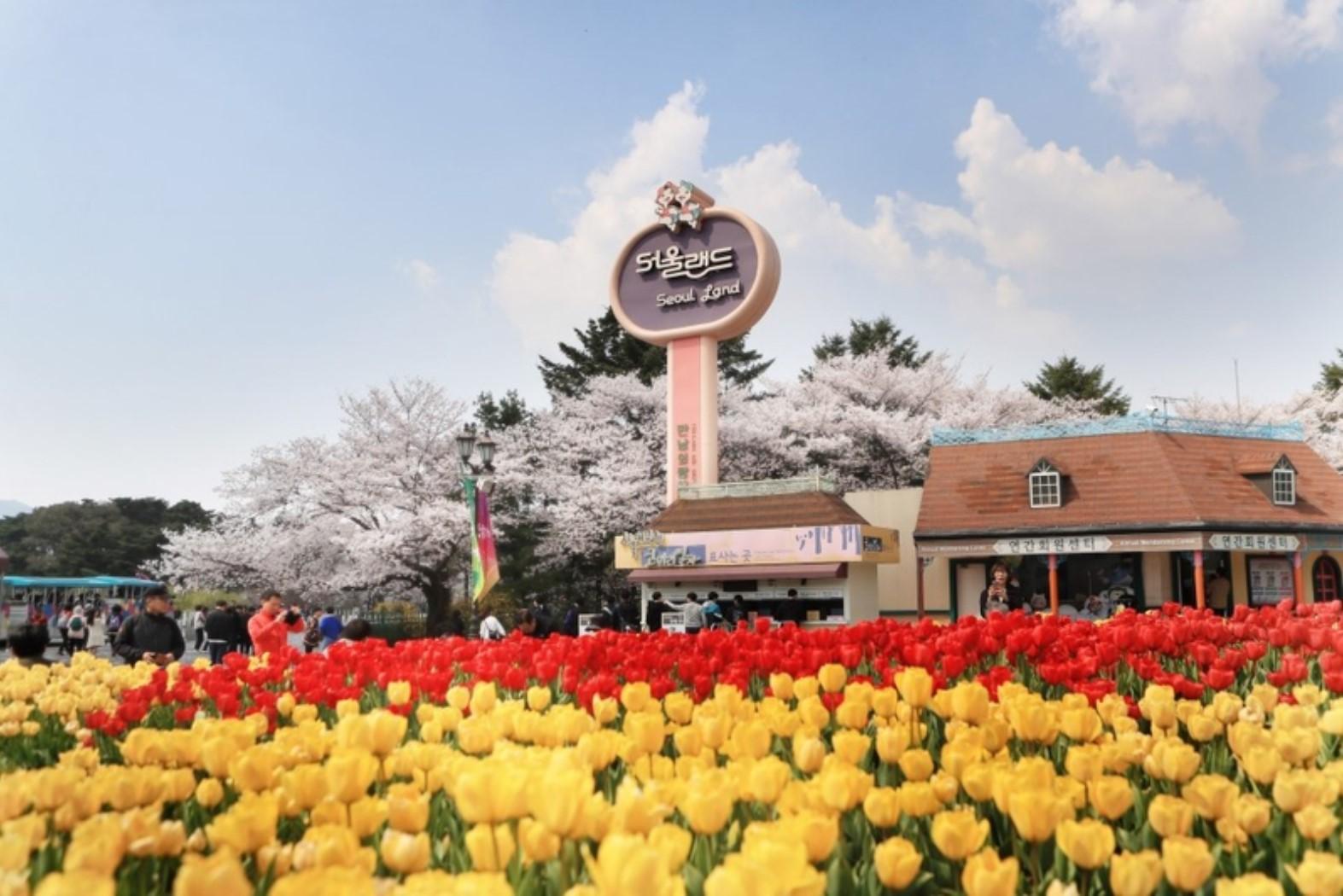 Seoul Land Admission Packages