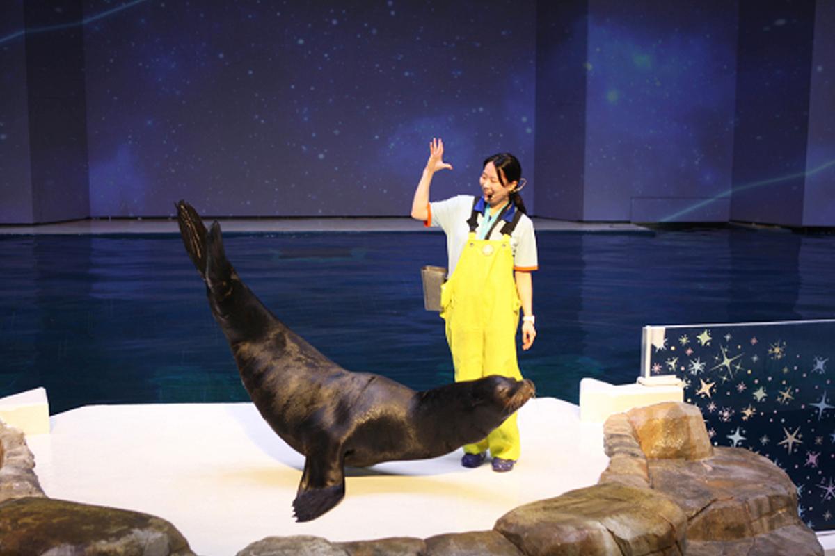 Jeju Aqua Planet