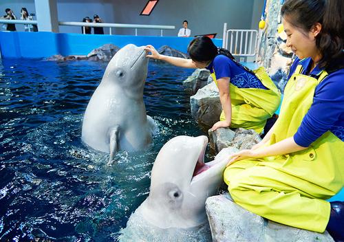 Yeosu Aqua Planet