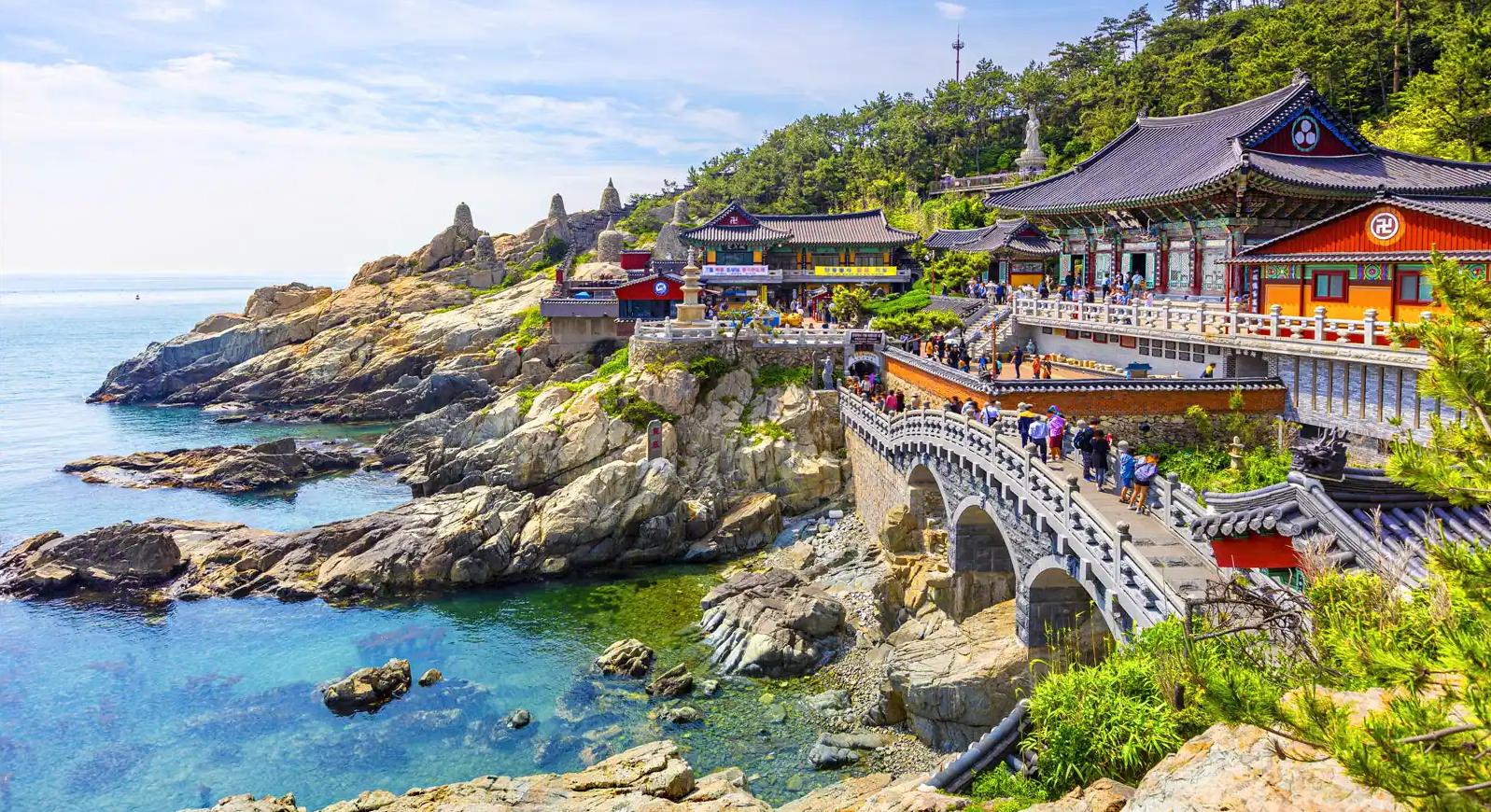 3 Night 4 Days in Busan! Free Travel Tour