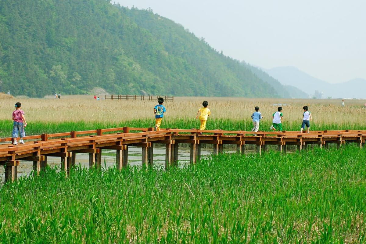 Suncheon UNESCO | The Perfect Trip for Autumn