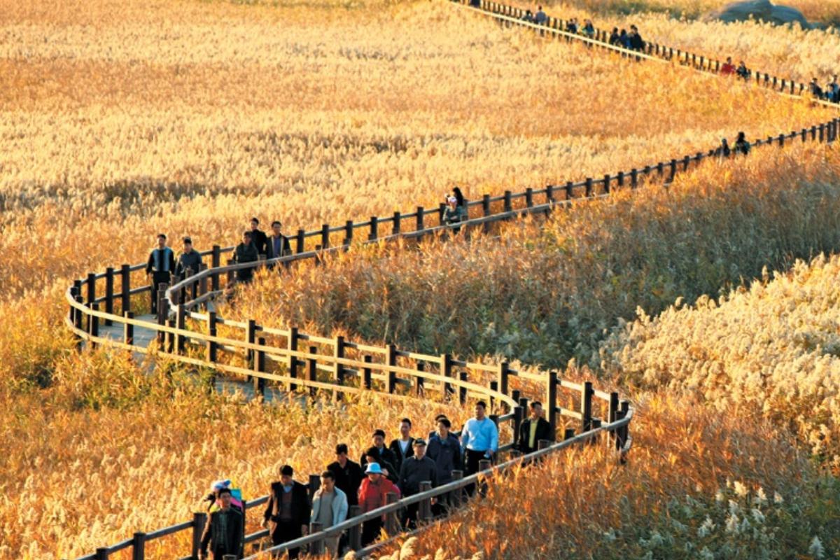 Suncheon UNESCO Autumn Trip 