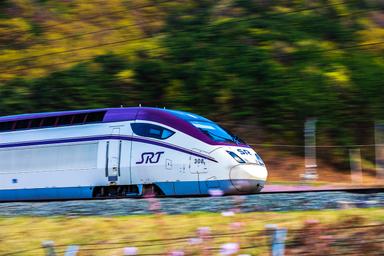 Fast & Easy SRT Train Tickets in Korea