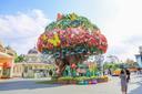 Round Trip Transportation to Everland and Caribbean Bay! 