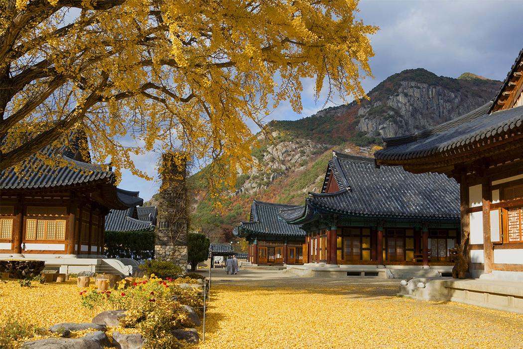 Creatrip: Overnight Temple Stay Tour (Daegu) - Daegu/Korea (Korea Travel)