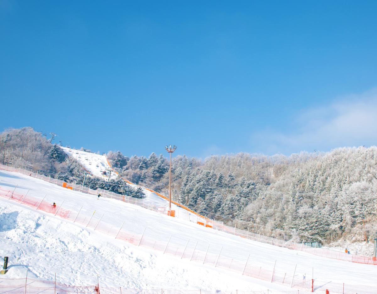 Elysian Gangchon Winter Ski + Nami Island Day Tour from Seoul