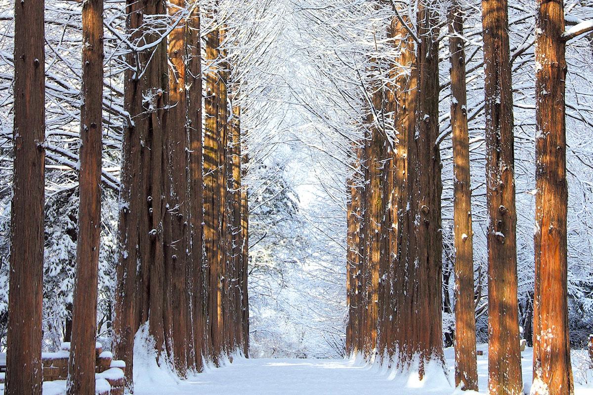 Nami Island
