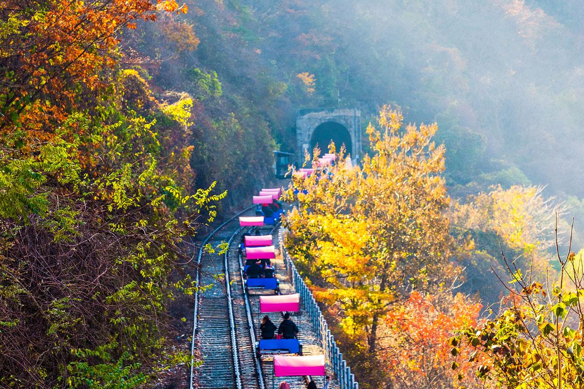 Rail Bike