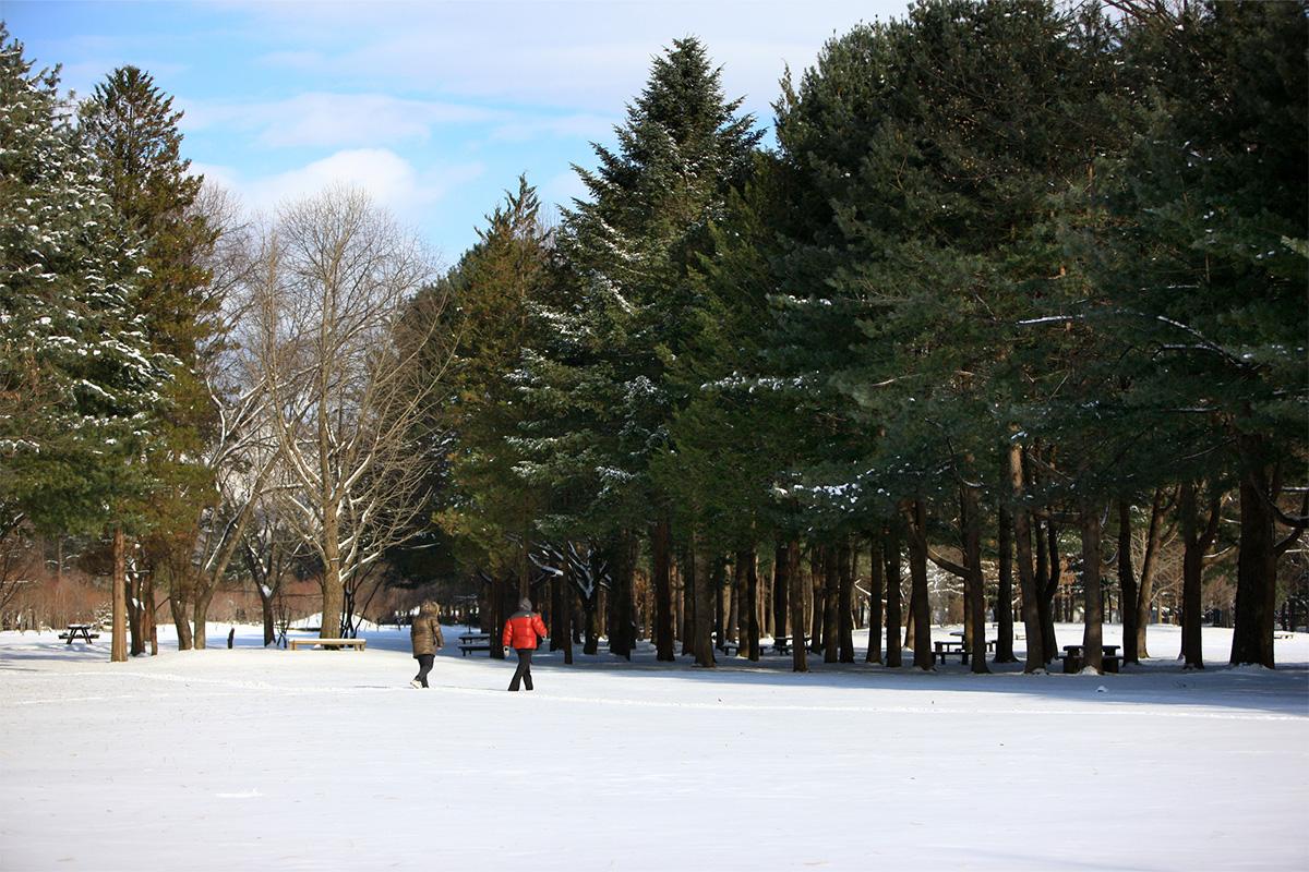 Nami Island