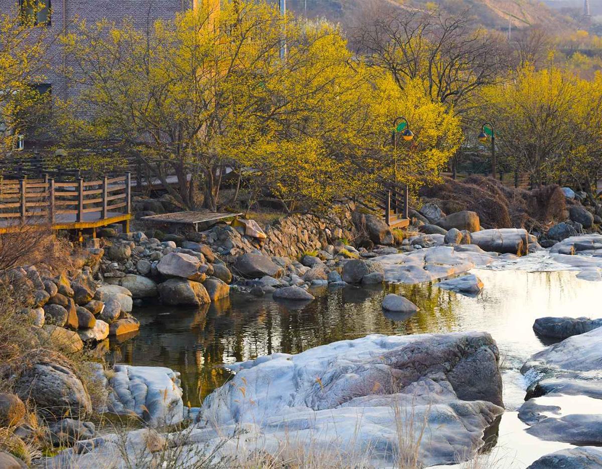 Gwangyang Maehwa Gurye Sansuyu Festival (Departure from Busan)