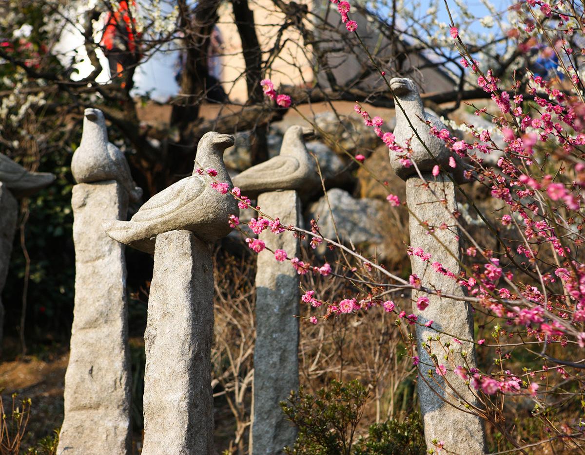 Gwangyang Maehwa Gurye Sansuyu Festival (Departure from Busan)