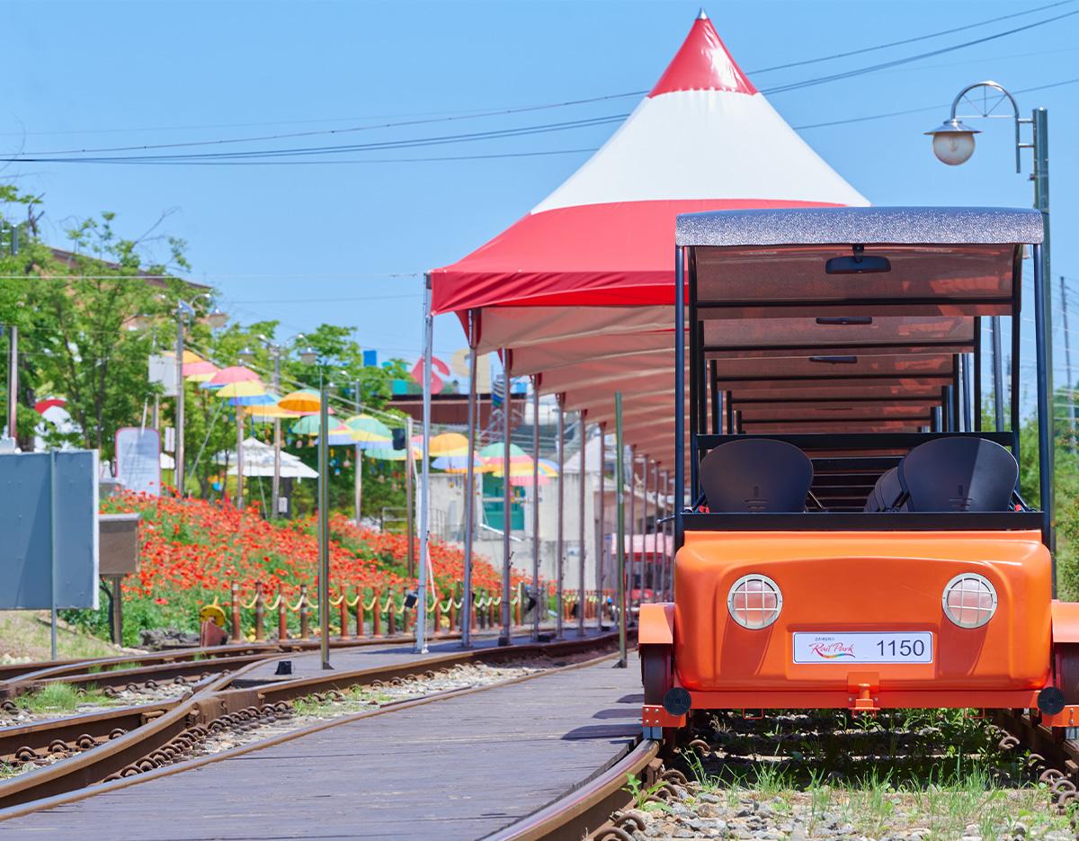 Alpaca World + Nami Island + Gangchon Rail Bike Day Tour | Seoul Departure-image