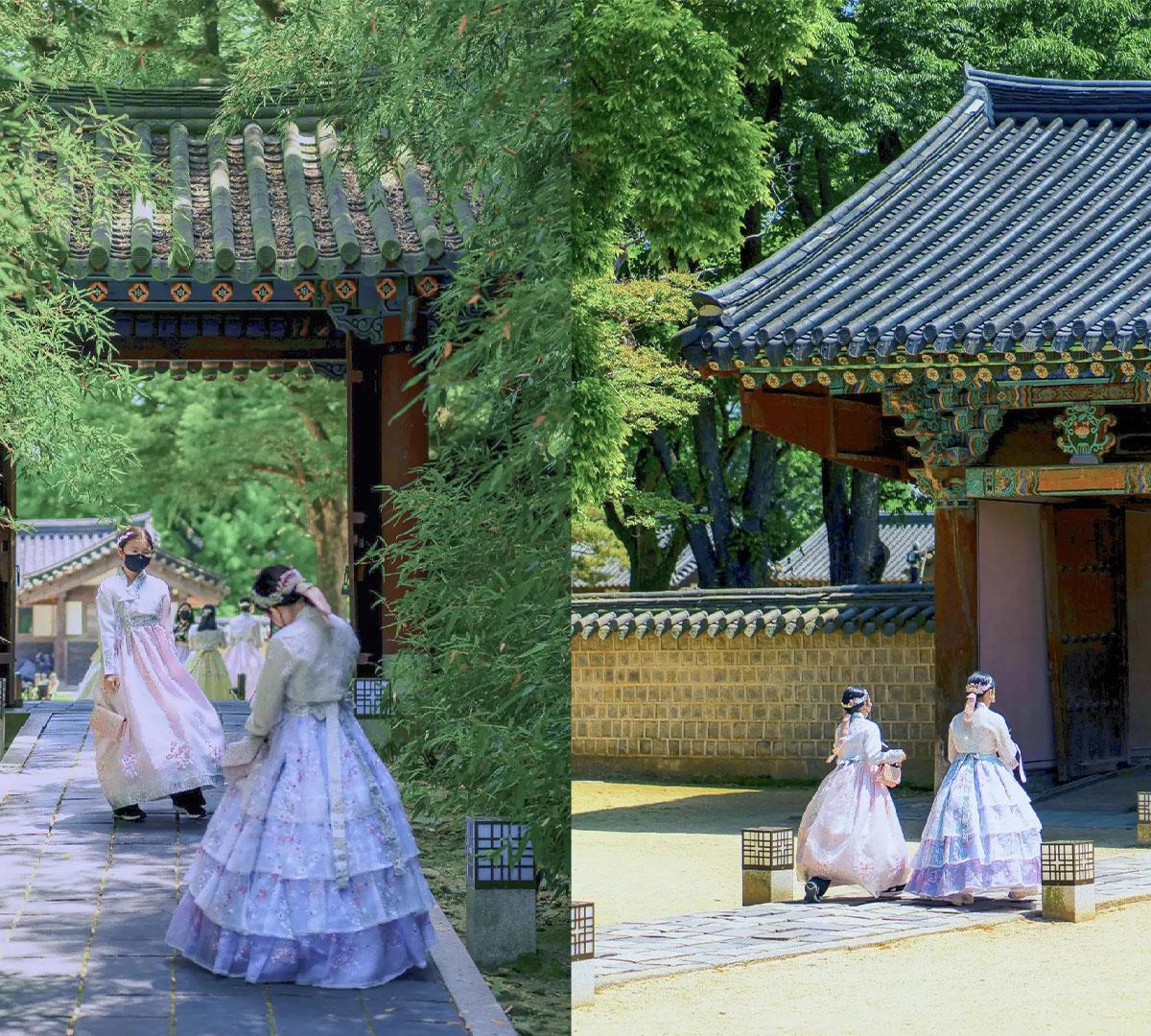 Jeonju Hanok Village + Spring Flowers Day Tour | Seoul Departure