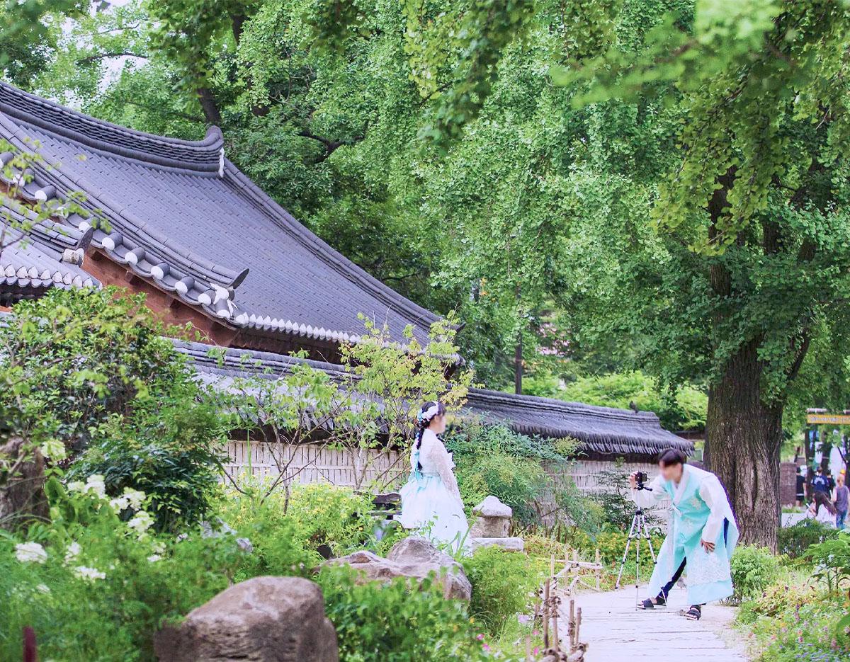 Jeonju Hanok Village + Spring Flowers Day Tour | Seoul Departure