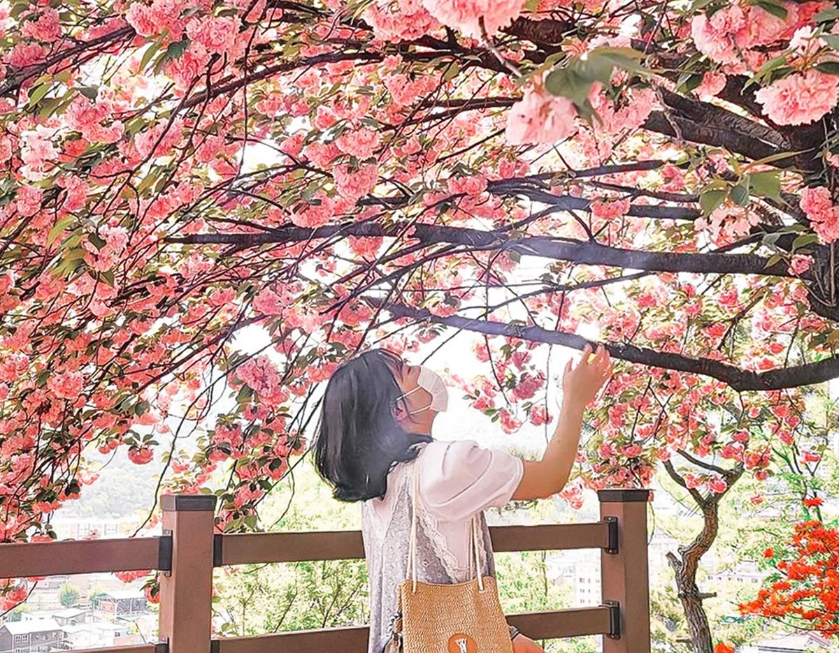 Jeonju Hanok Village & Seasonal Hot Attractions One Day Tour