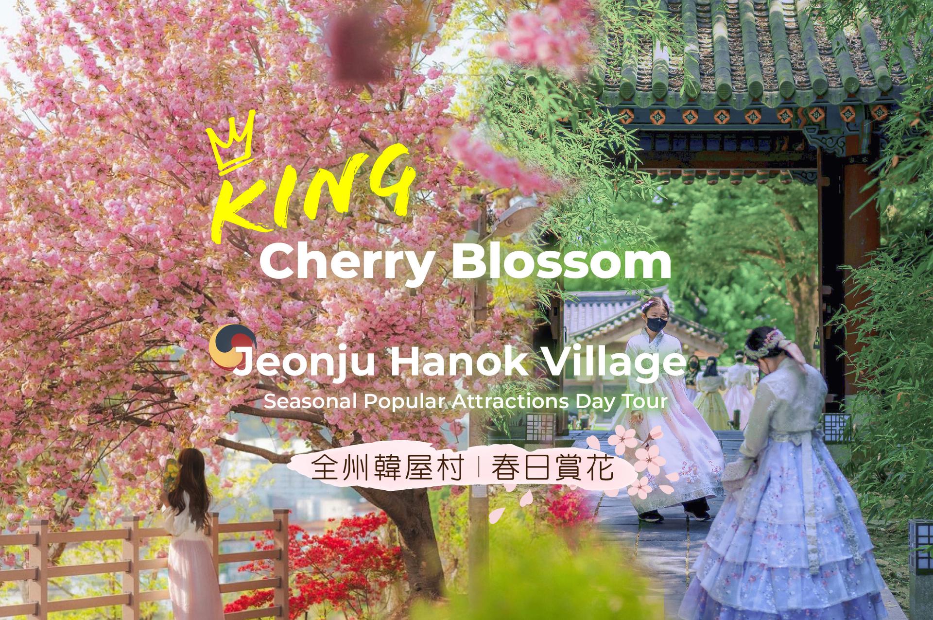 Jeonju Hanok Village + Spring Flowers Day Tour | Seoul Departure