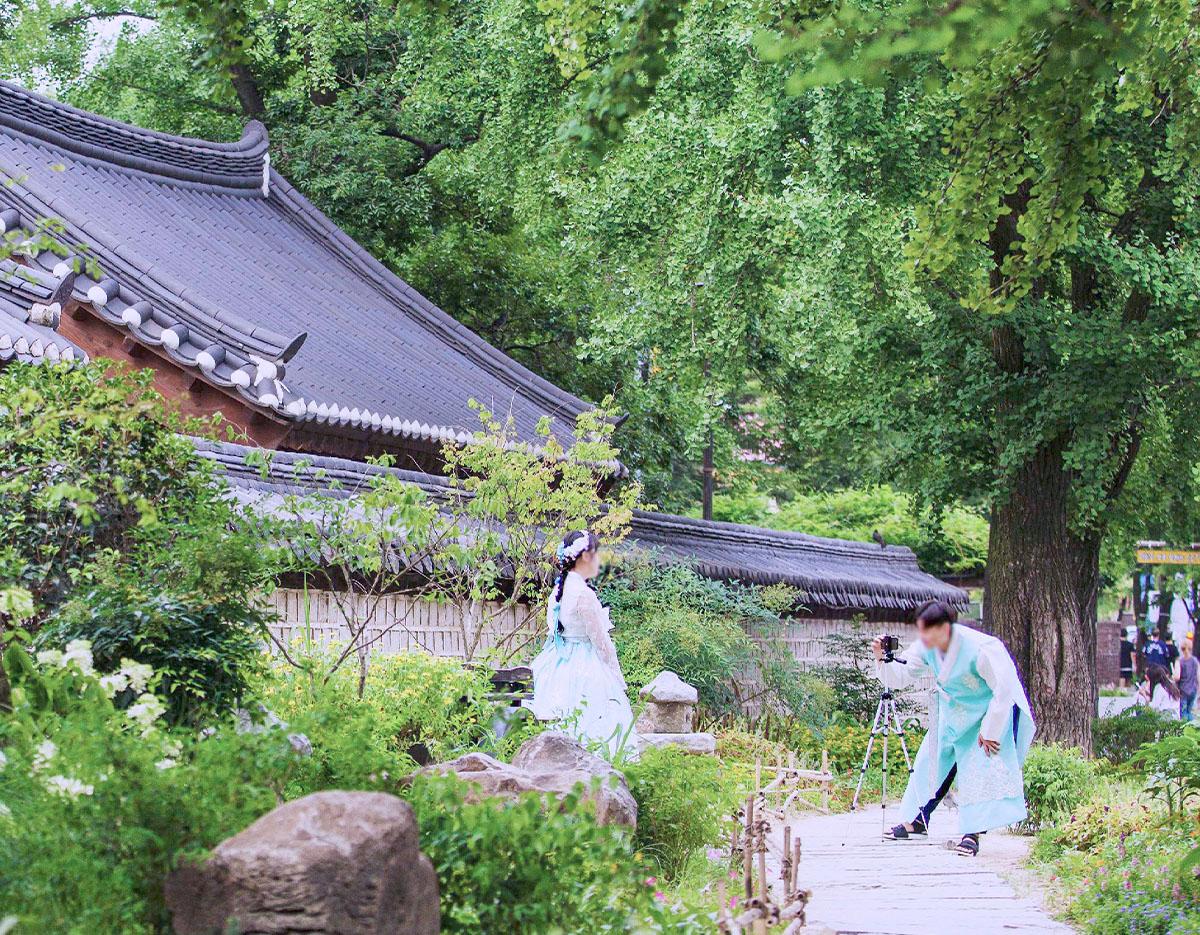 Jeonju Hanok Village + Spring Flowers Day Tour