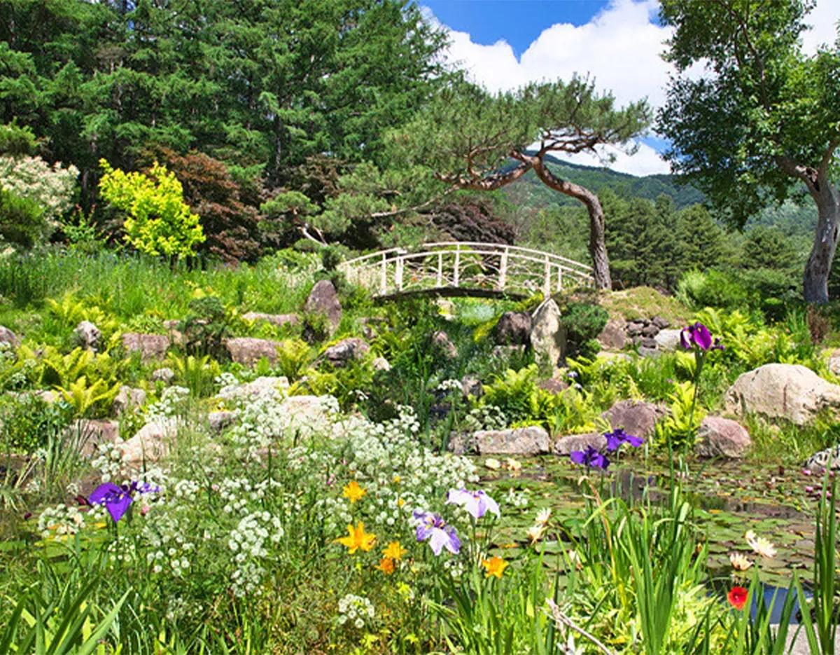 Pocheon One Day tour