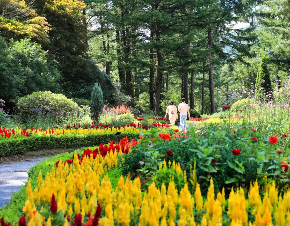 Pocheon One Day tour