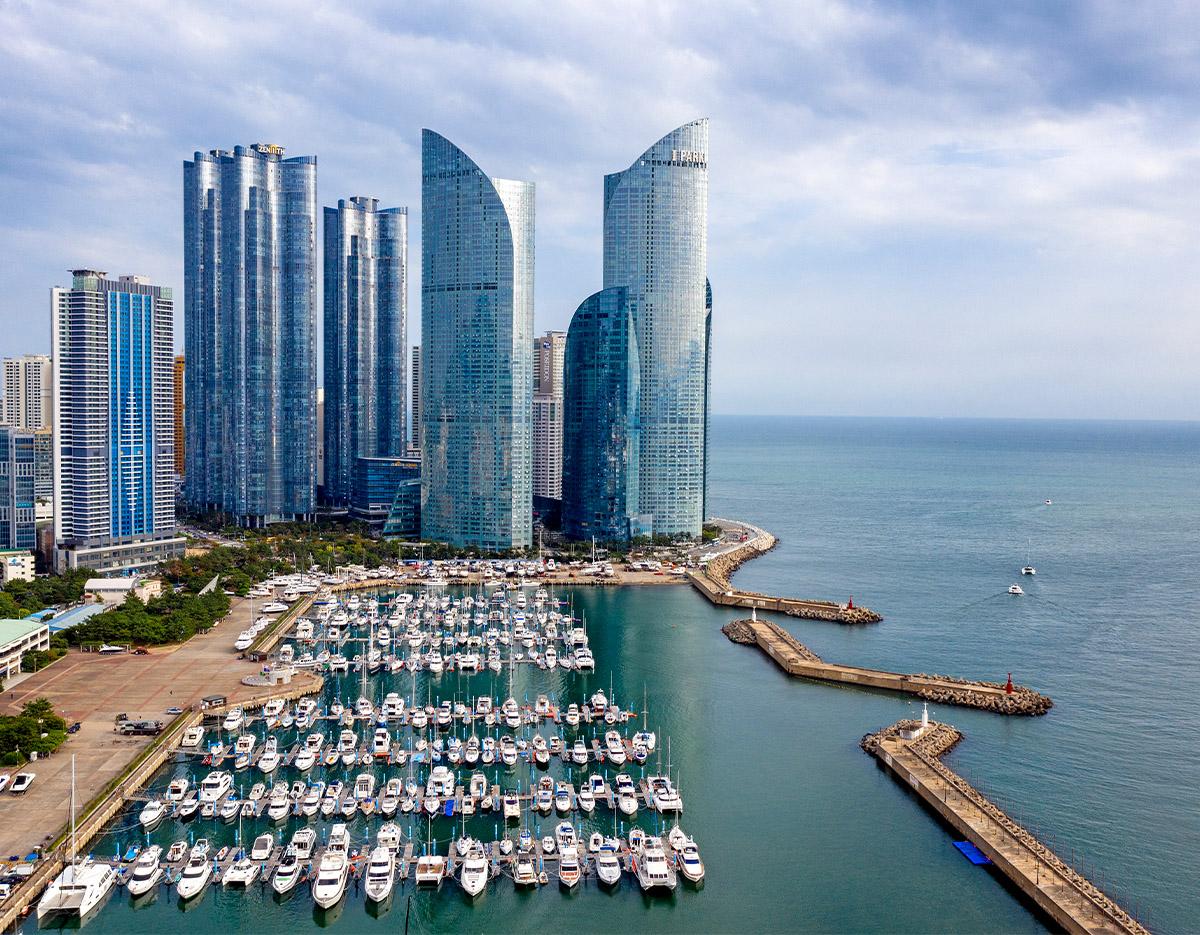 Profitez des principales attractions avec Busan City + Yacht TourㅣDépart de Busan-image