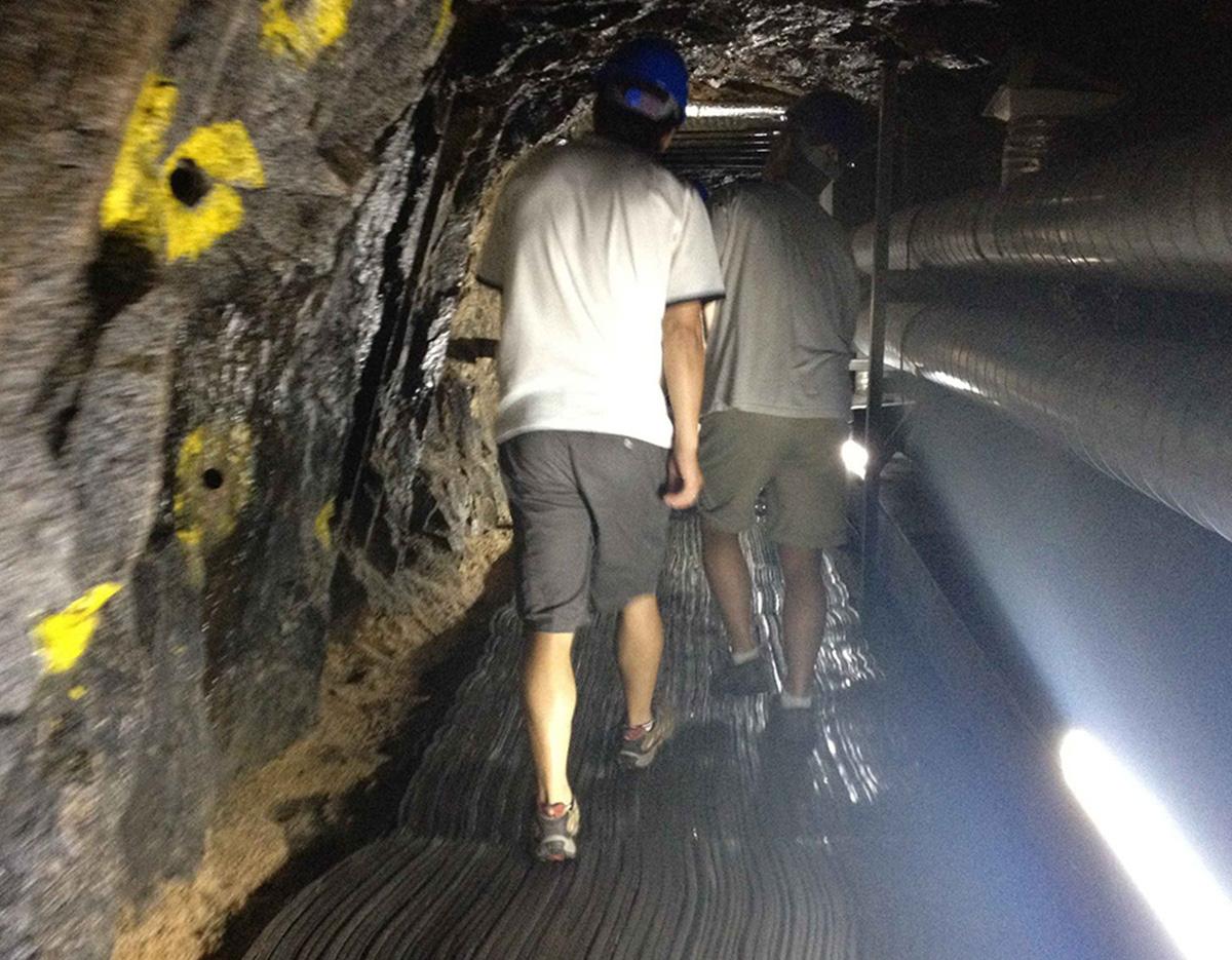 Paju DMZ Day Tour - 3rd Tunnel, Dora Observatory, Camp Greaves 