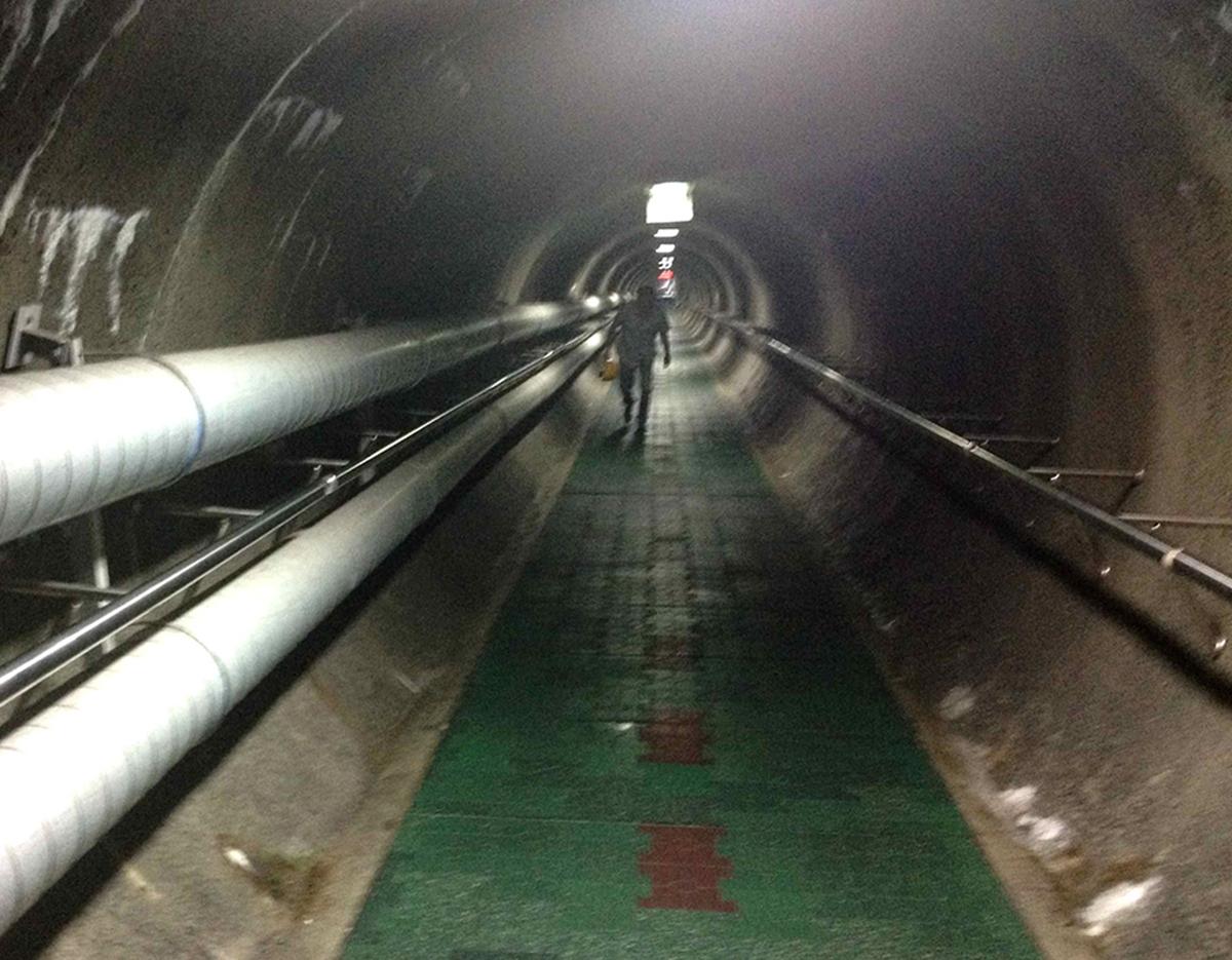 Paju DMZ Day Tour - 3rd Tunnel, Dora Observatory, Camp Greaves 