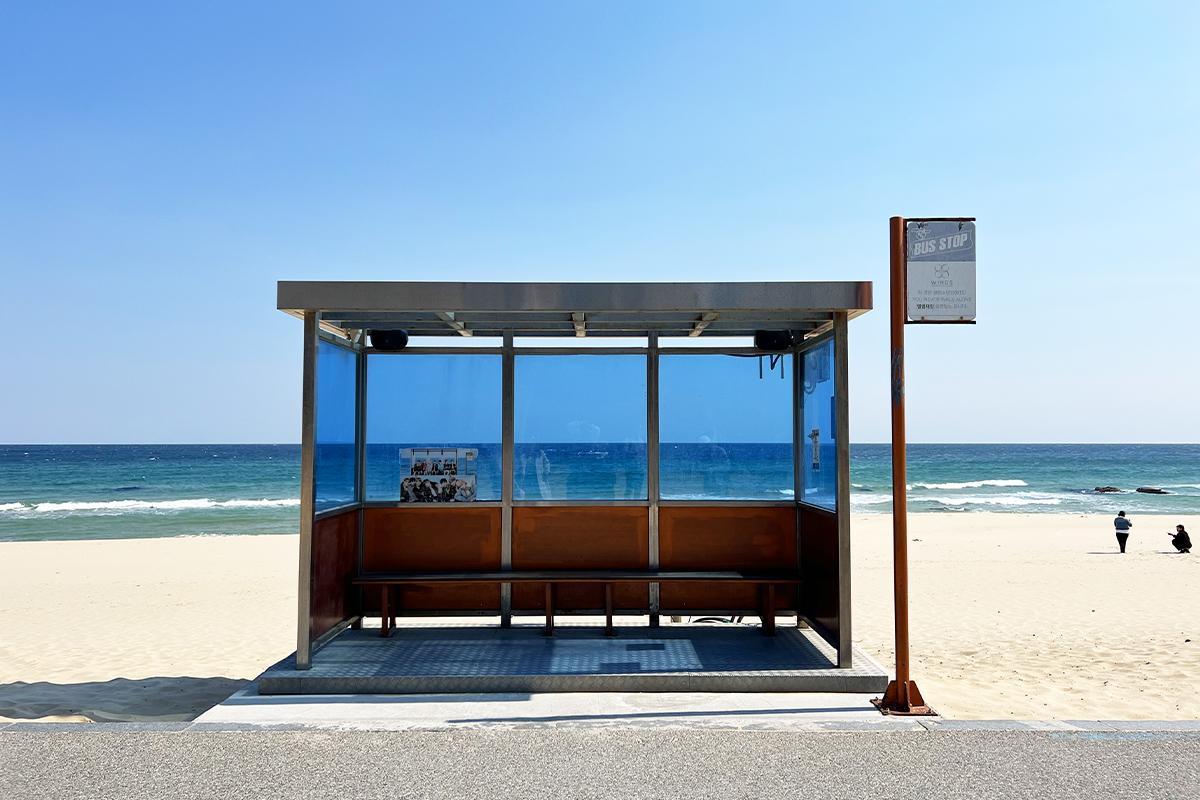 江陵凌波台/香湖海水浴場/中央市場一日遊（首爾出發）-image