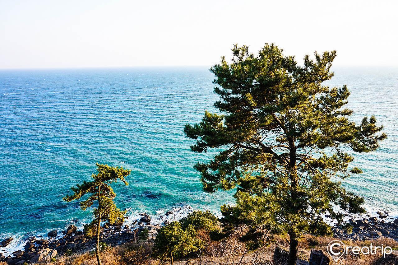 Ein Ozeanobservatorium 1