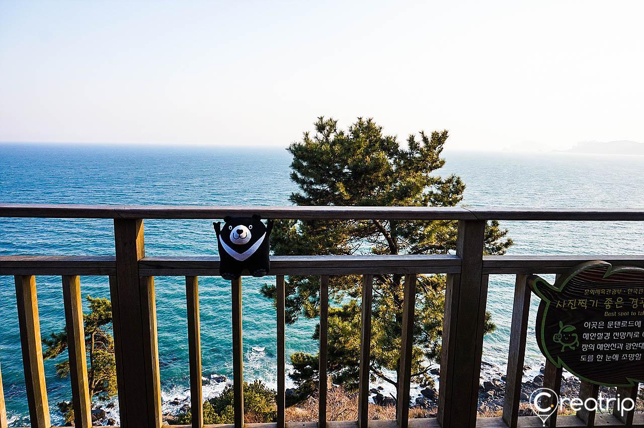 Ein Ozeanobservatorium 4