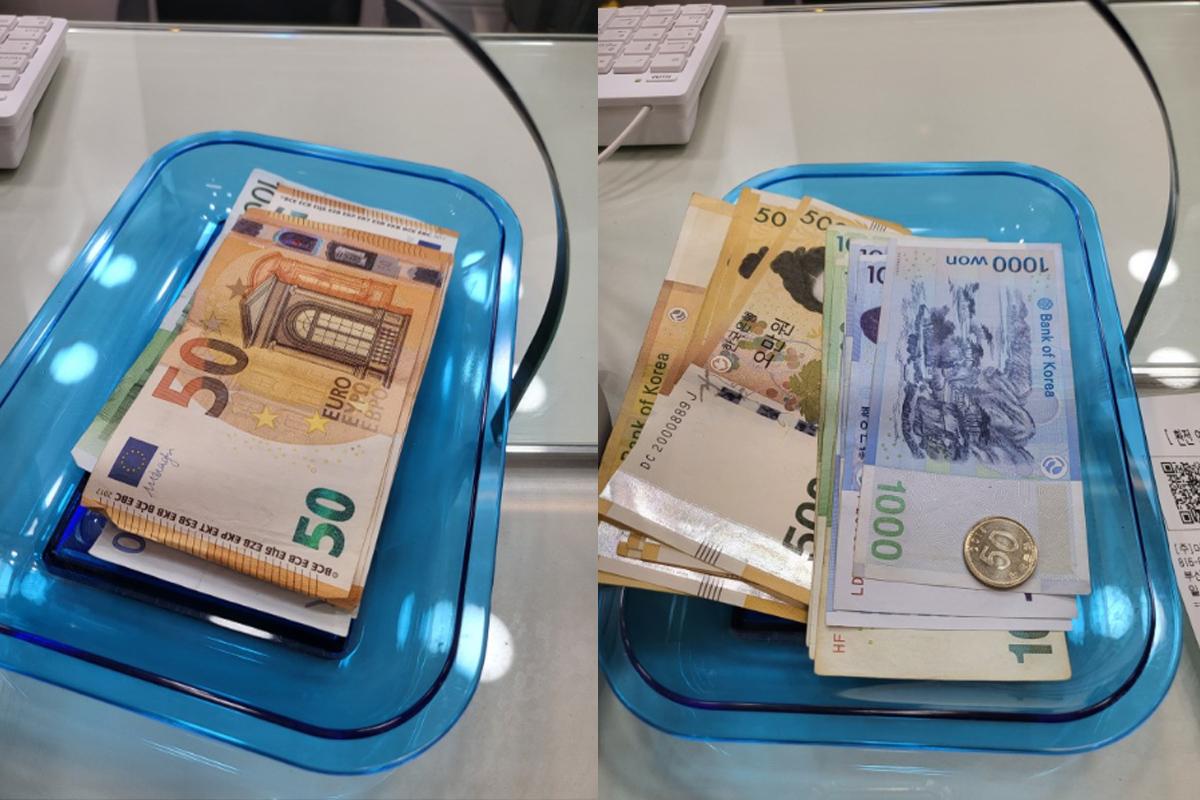 Creatrip-Mitgliedervorteil