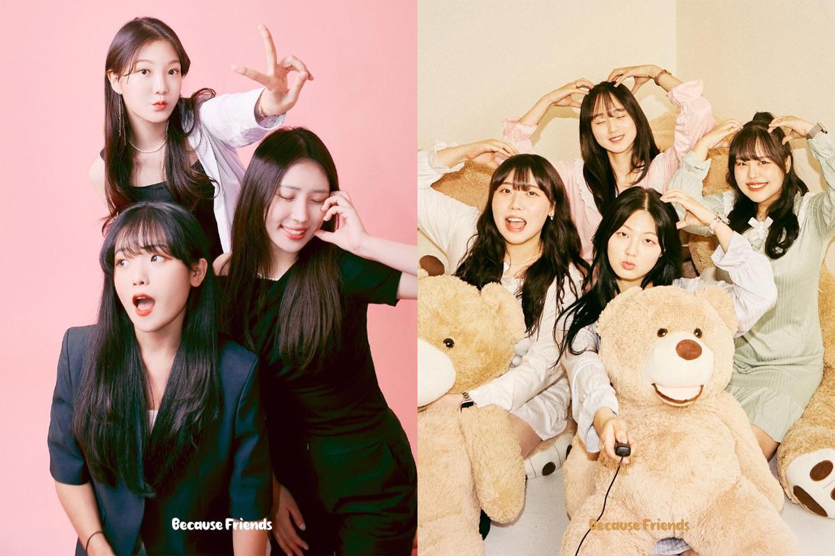 Because Friends Busan