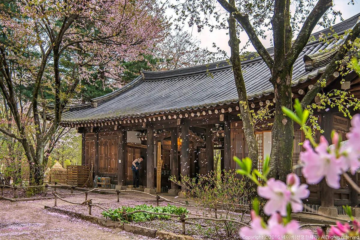 Korea Travel