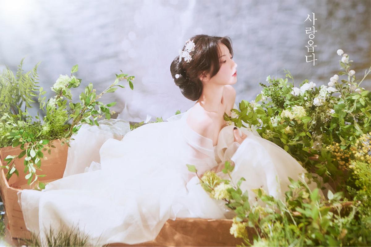 Sarangobdda | Studio Foto di Seomyeon, Busan-image