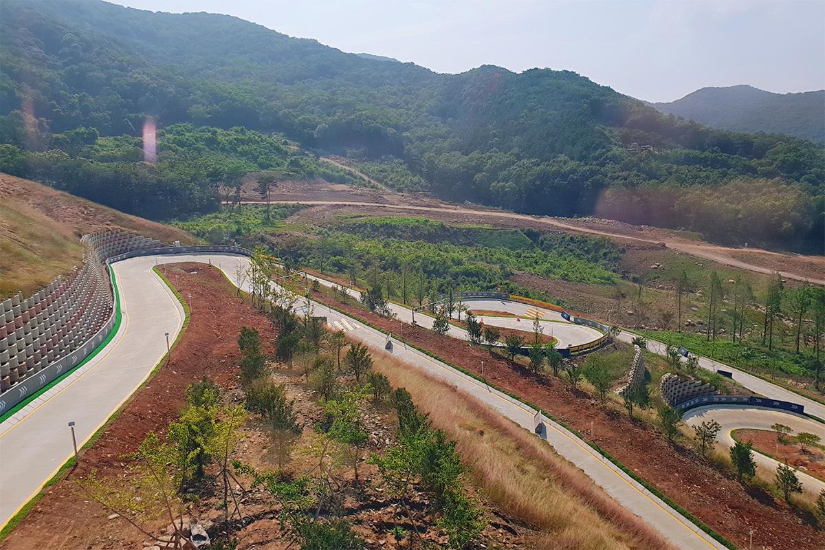 Paju