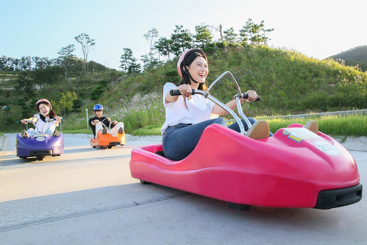 Paju