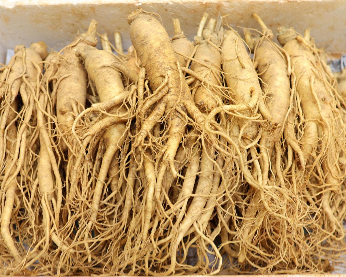 廣藏市場雜貨店照片 6