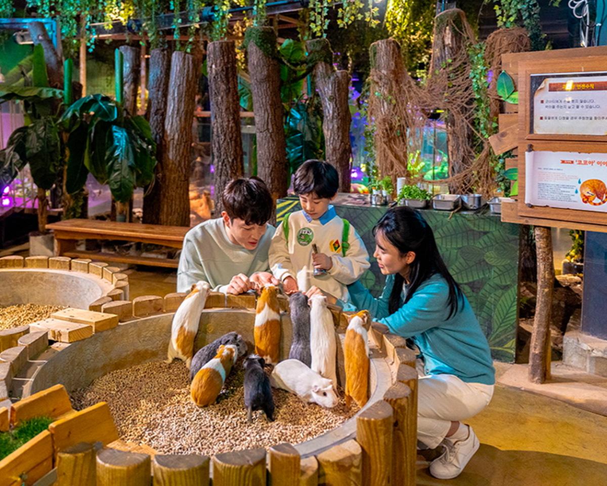 Zoolung Zoolung Animal Theme Park | Gyeongju Bomun