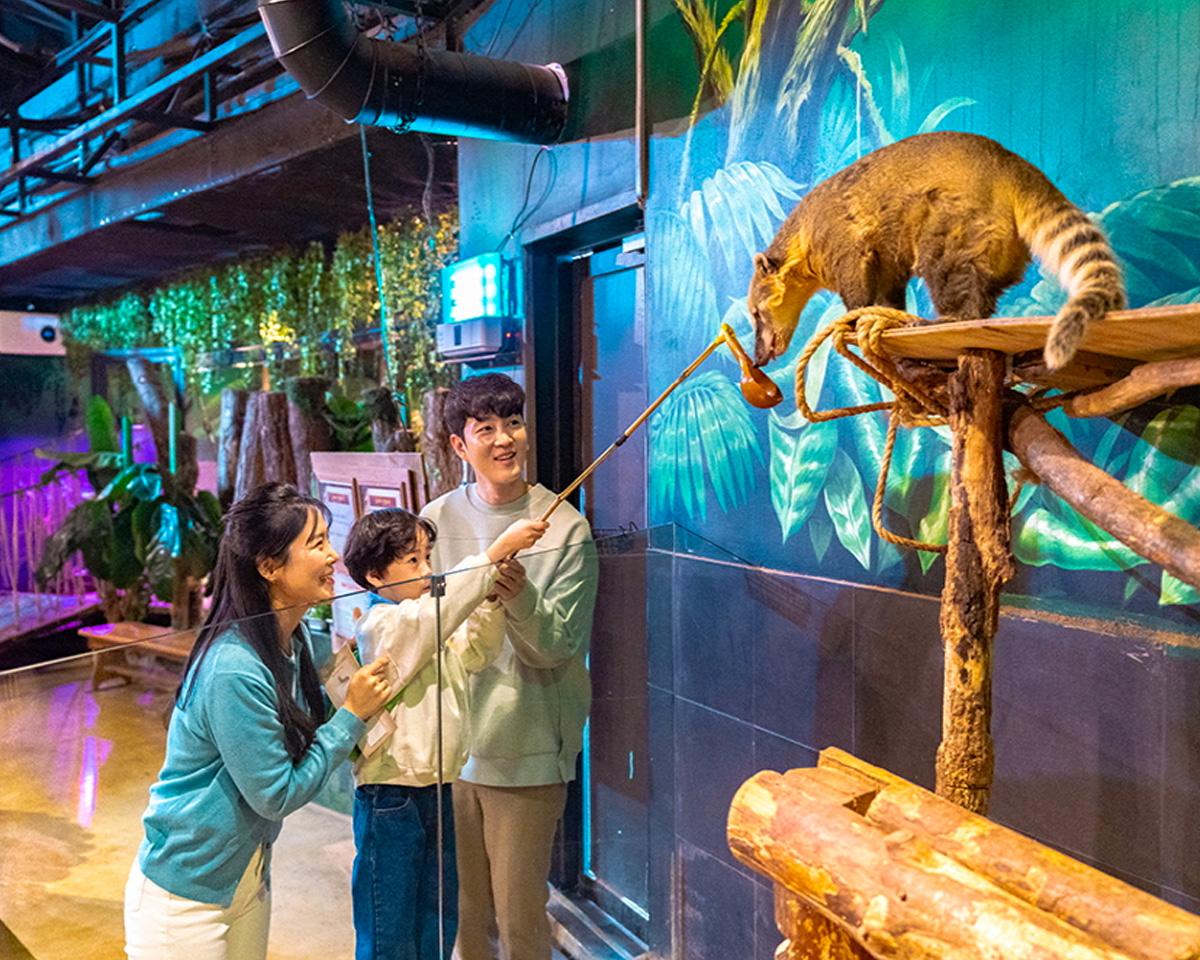 zoolung zoolung Gyeongju