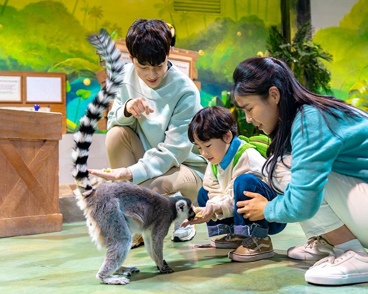 zoolung zoolung Gyeongju