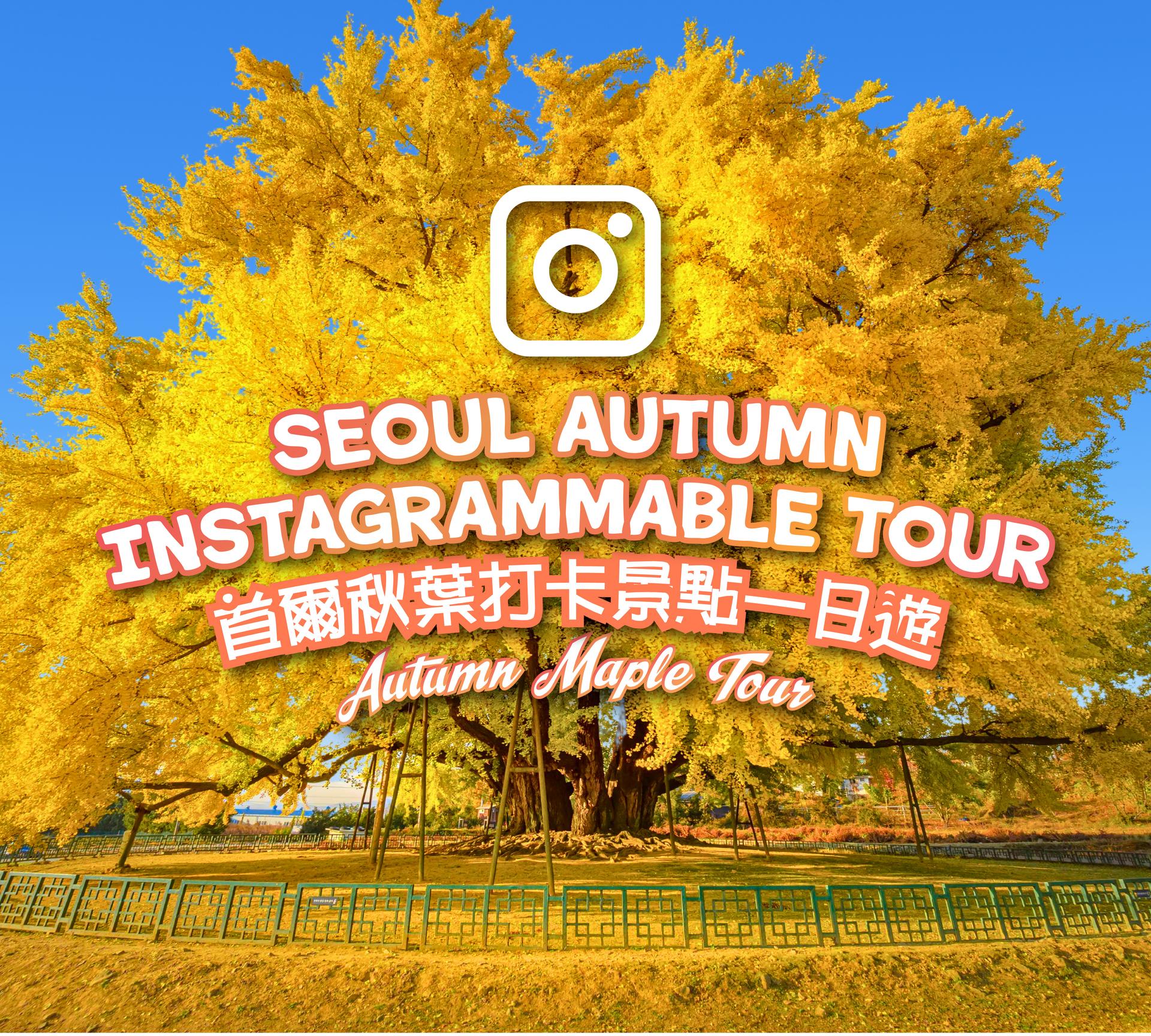 seoul autumn instagrammable tour