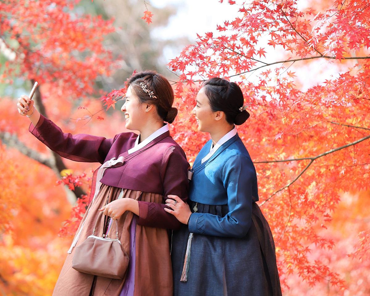🎁Fall Foliage Random Tour: Busan & Gyeongsang Edition | Fall Foliage Day Tour