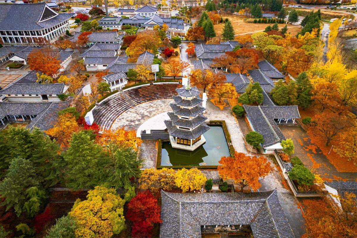 Gyeongju Maple