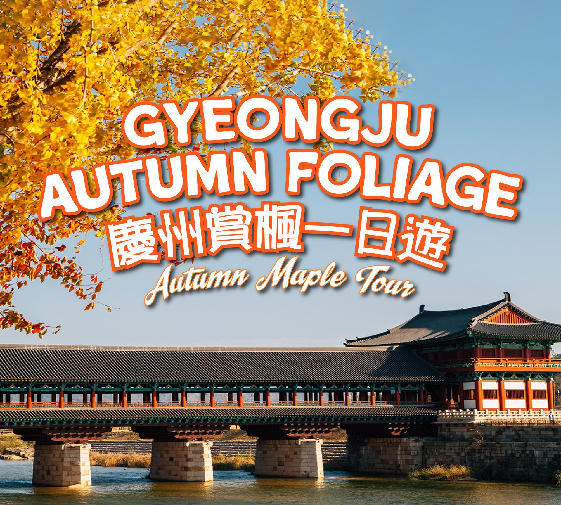 Gyeongju autumn foliage