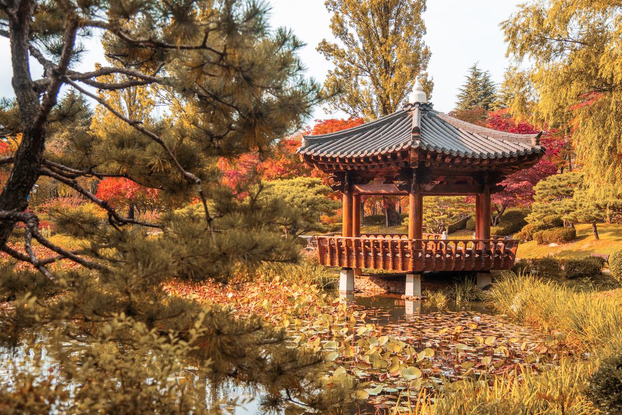 Gyeongju autumn foliage
