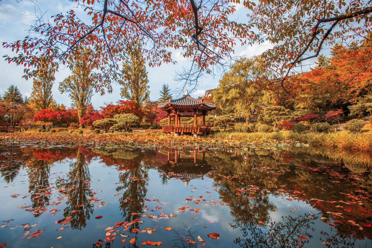 Gyeongju autumn foliage