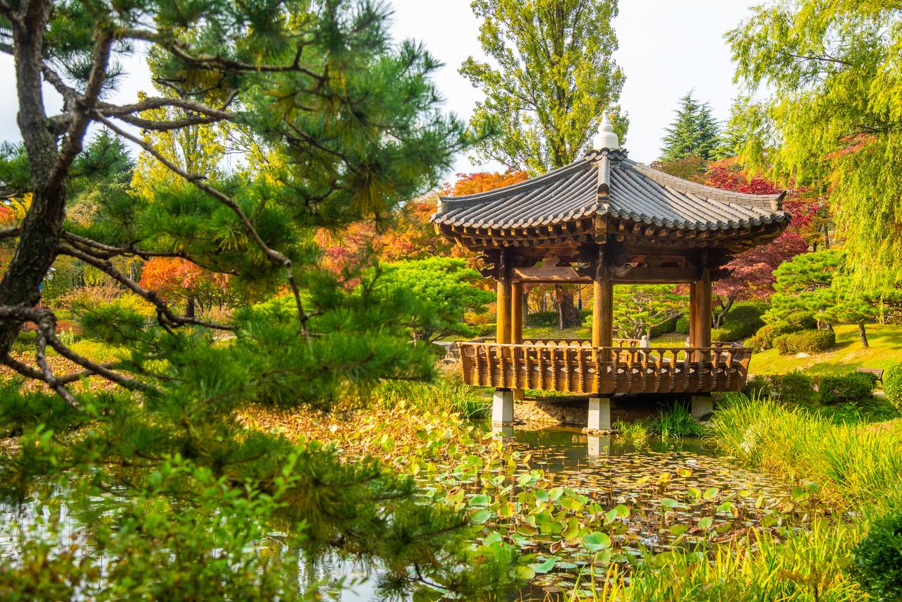 Gyeongju autumn foliage