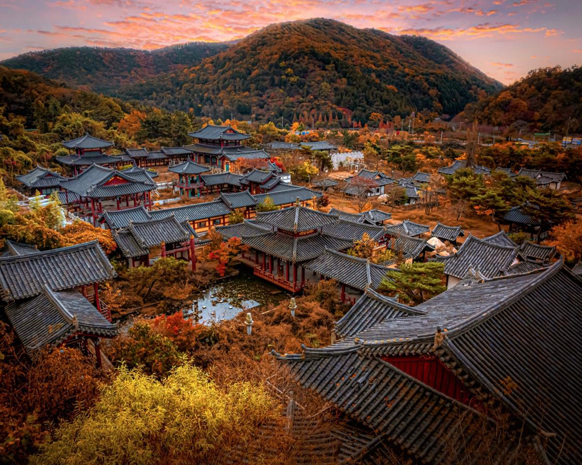 Gyeongju Maple