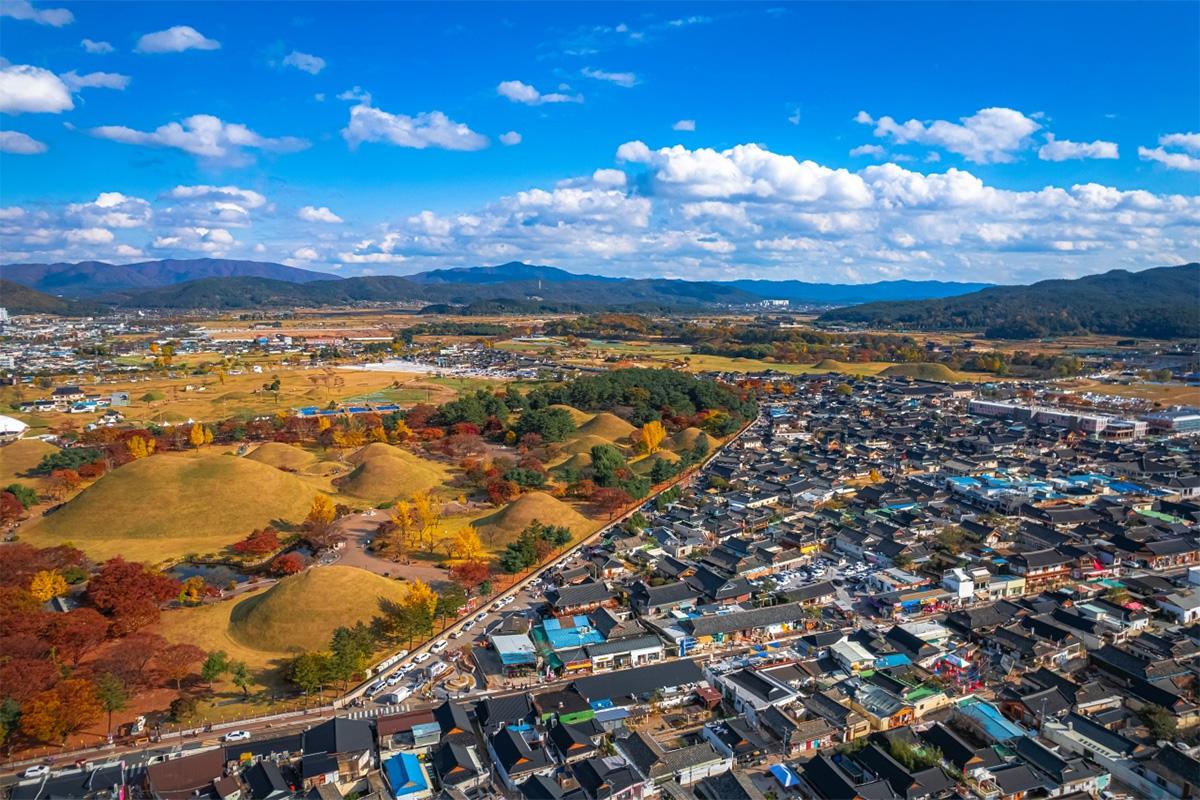 Gyeongju Maple